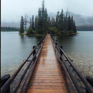 Bundle for Happybigsie